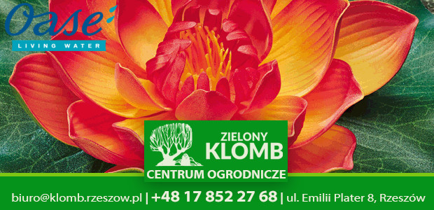 Sztuczne lilie wodne Pondolily do oczka wodnego Oase